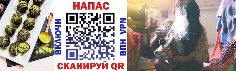 закладка  Жиздра  Cannafood конопля 